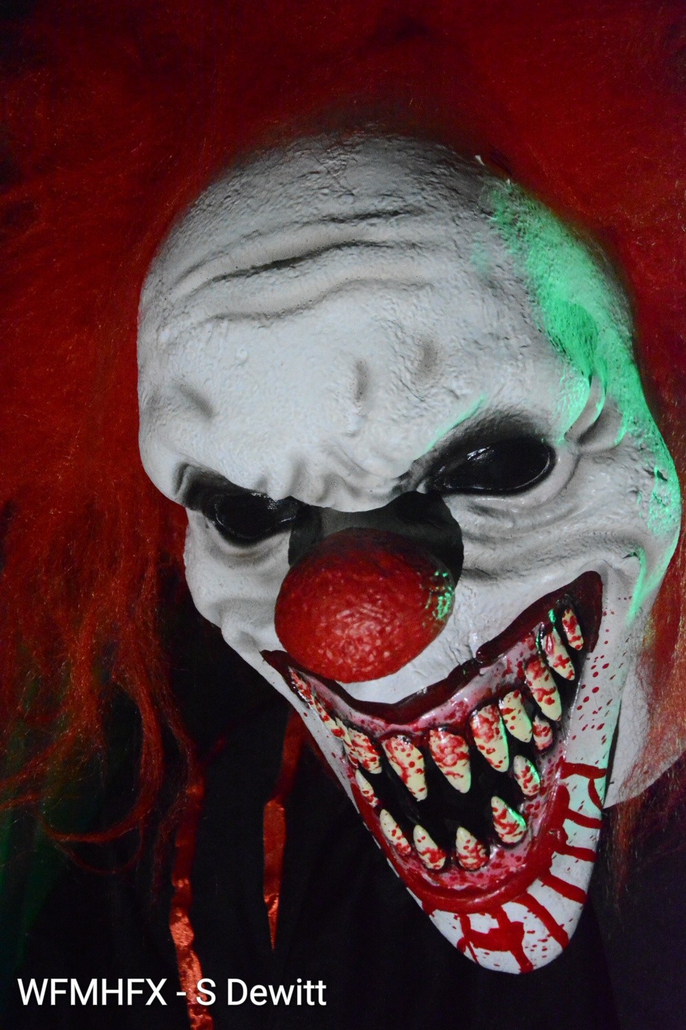 We are making this post due to excitement of the spooky season, and to remind everyone of a very special place in Dartmouth where Halloween stays in focus all year for two very enthusiastic people!