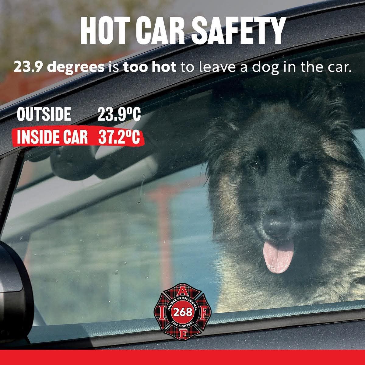 Summer heat is here, and parked cars can become dangerous fast — even on mild days
