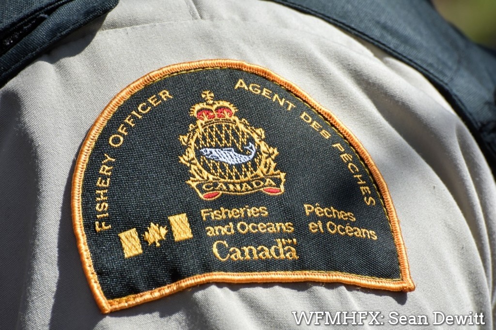 Halifax County, Nova Scotia, fishery officers conducted a large-scale riverside operation to address unauthorized elver harvesting activity