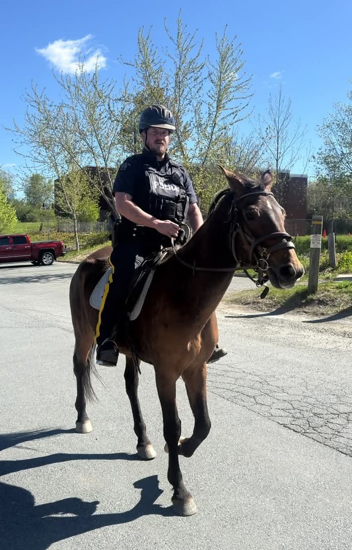 RCMP Halifax Regional Detachment responded to an unexpected commuter – a large brown horse trotting right down the middle of Kinsac Rd