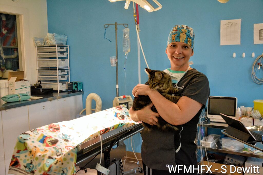 Ready to turn your passion for pets into a purposeful career? 