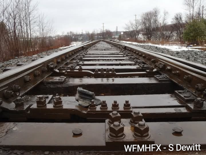 Police are investigating after a pedestrian was struck by a train last night in Bedford