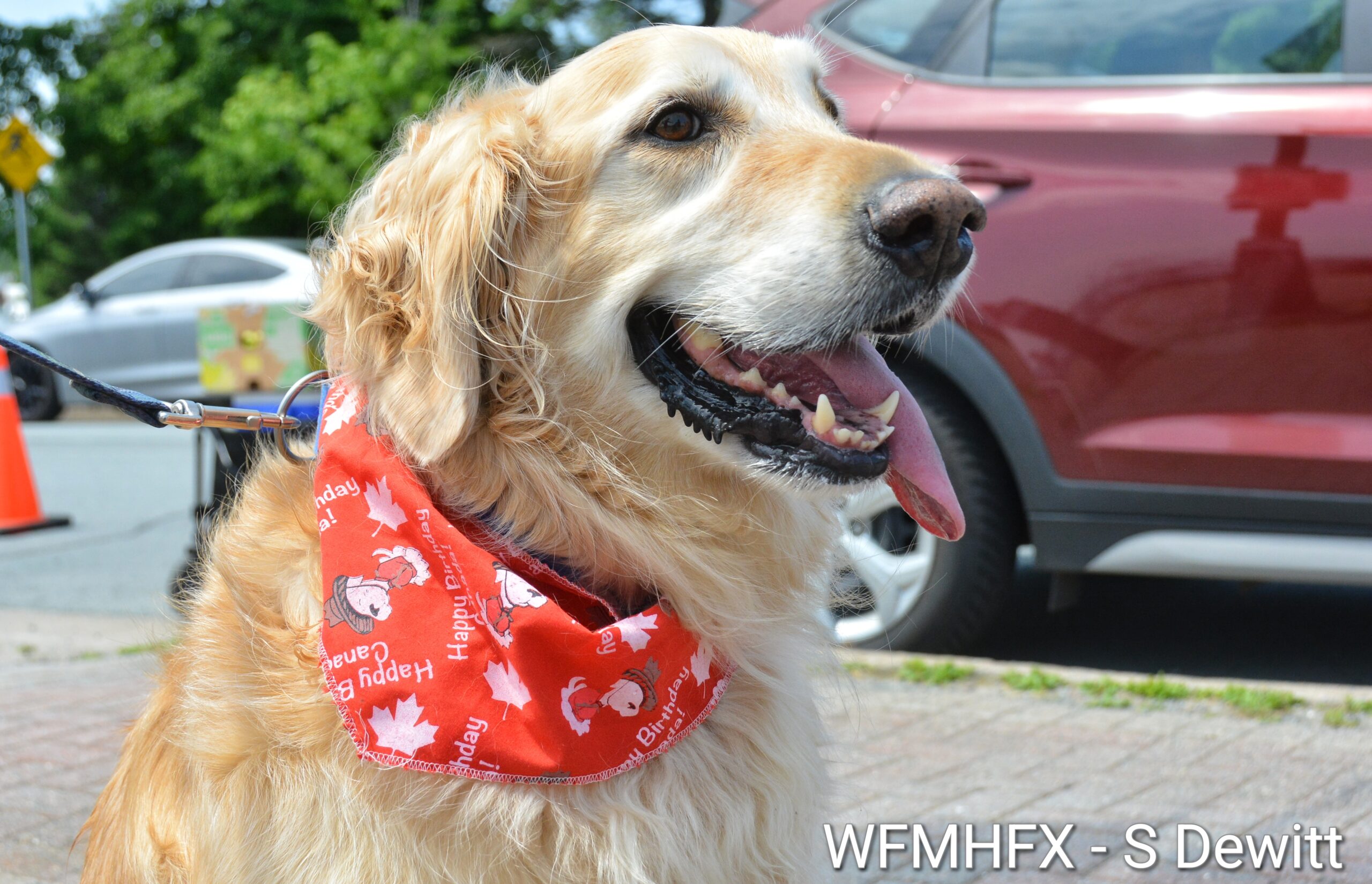 In photos - Canada Day 2026!  From parades to BBQs, HRM is out to celebrate!