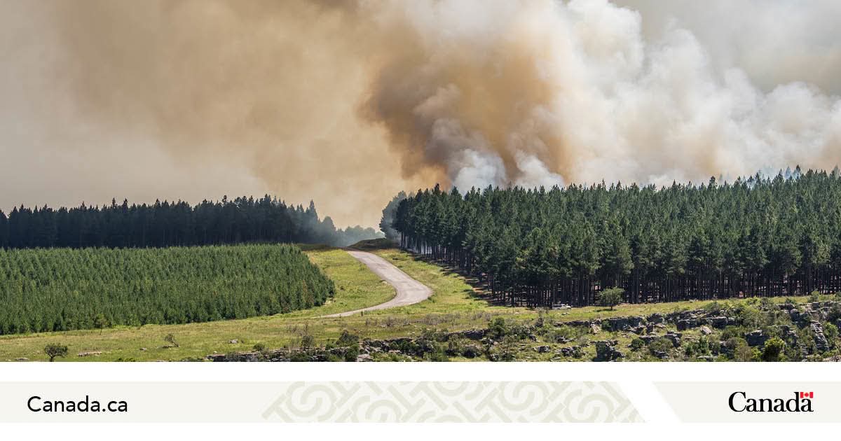 See smoke? Keep your drone on the ground.