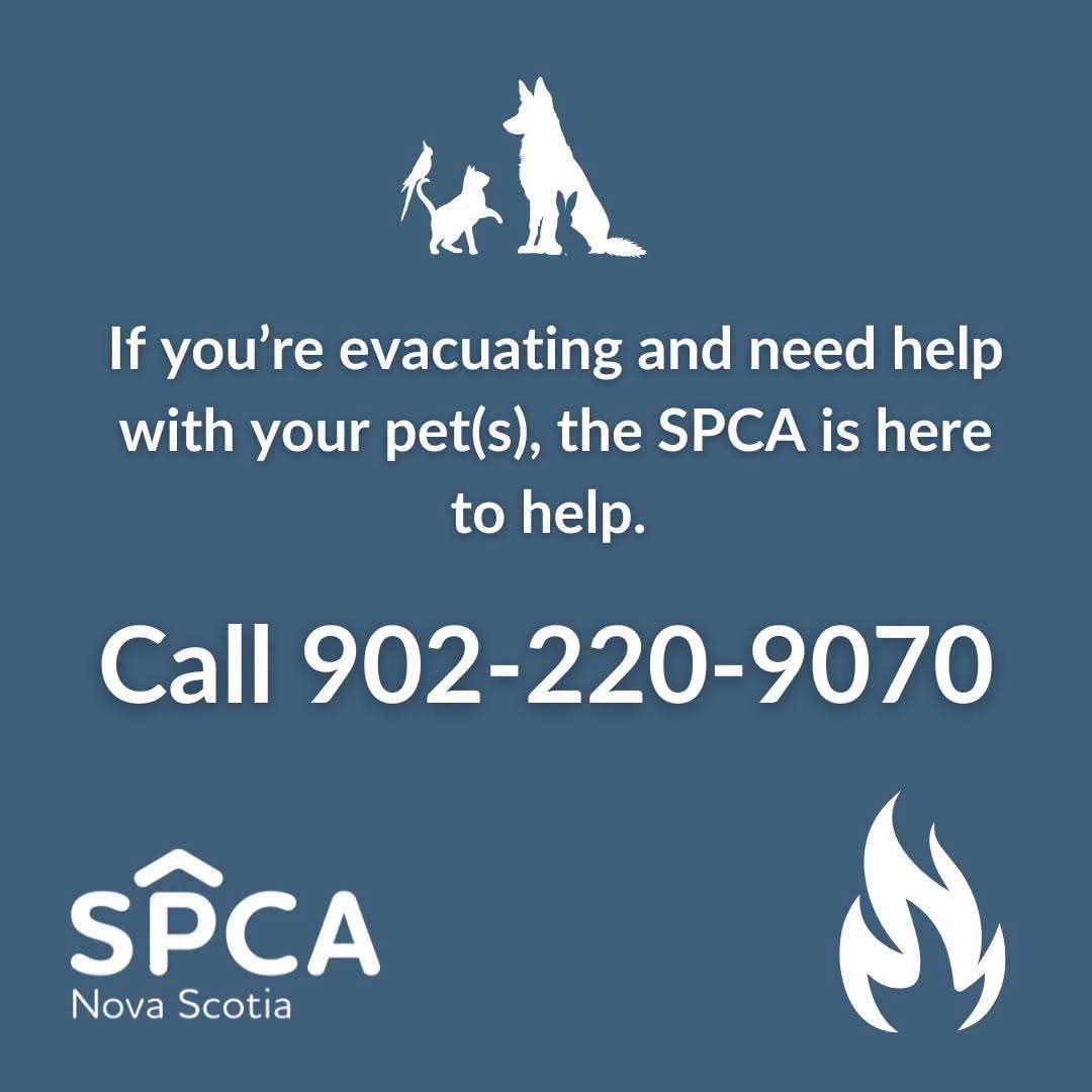 SPCA offers help for pets evacuated free m wipdfire