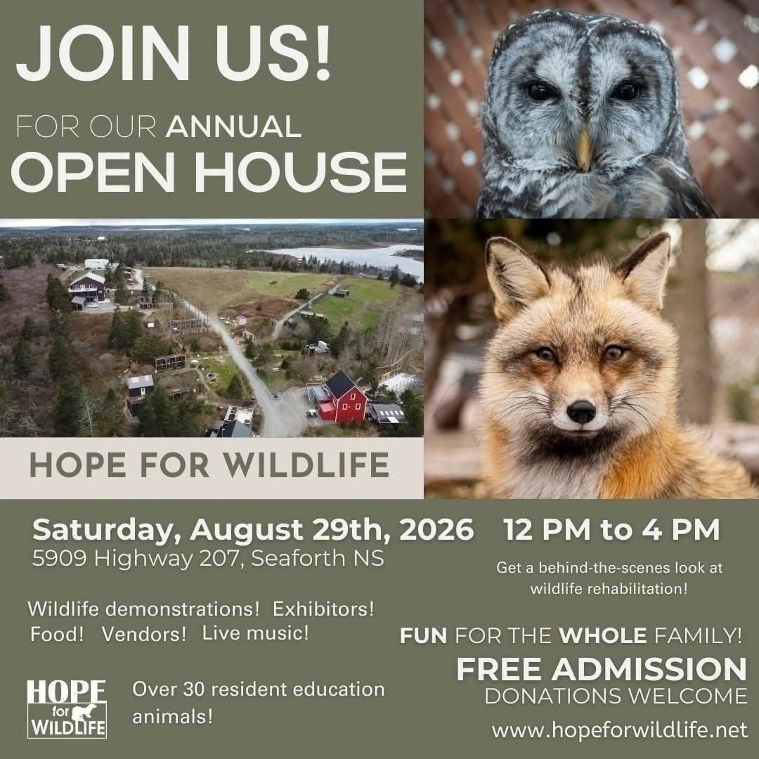 Repost - Hope for Wildlife 2026 Open House