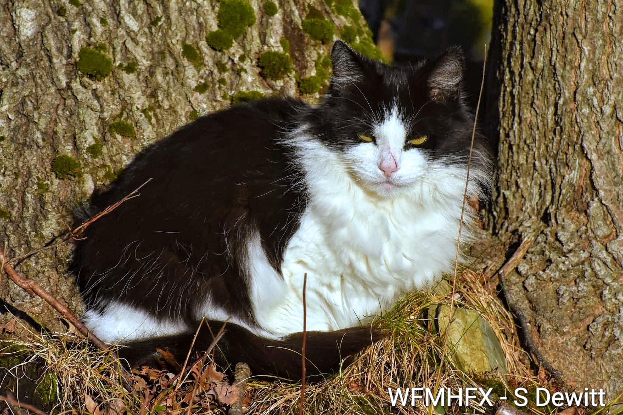 Today's weather for the Halifax area