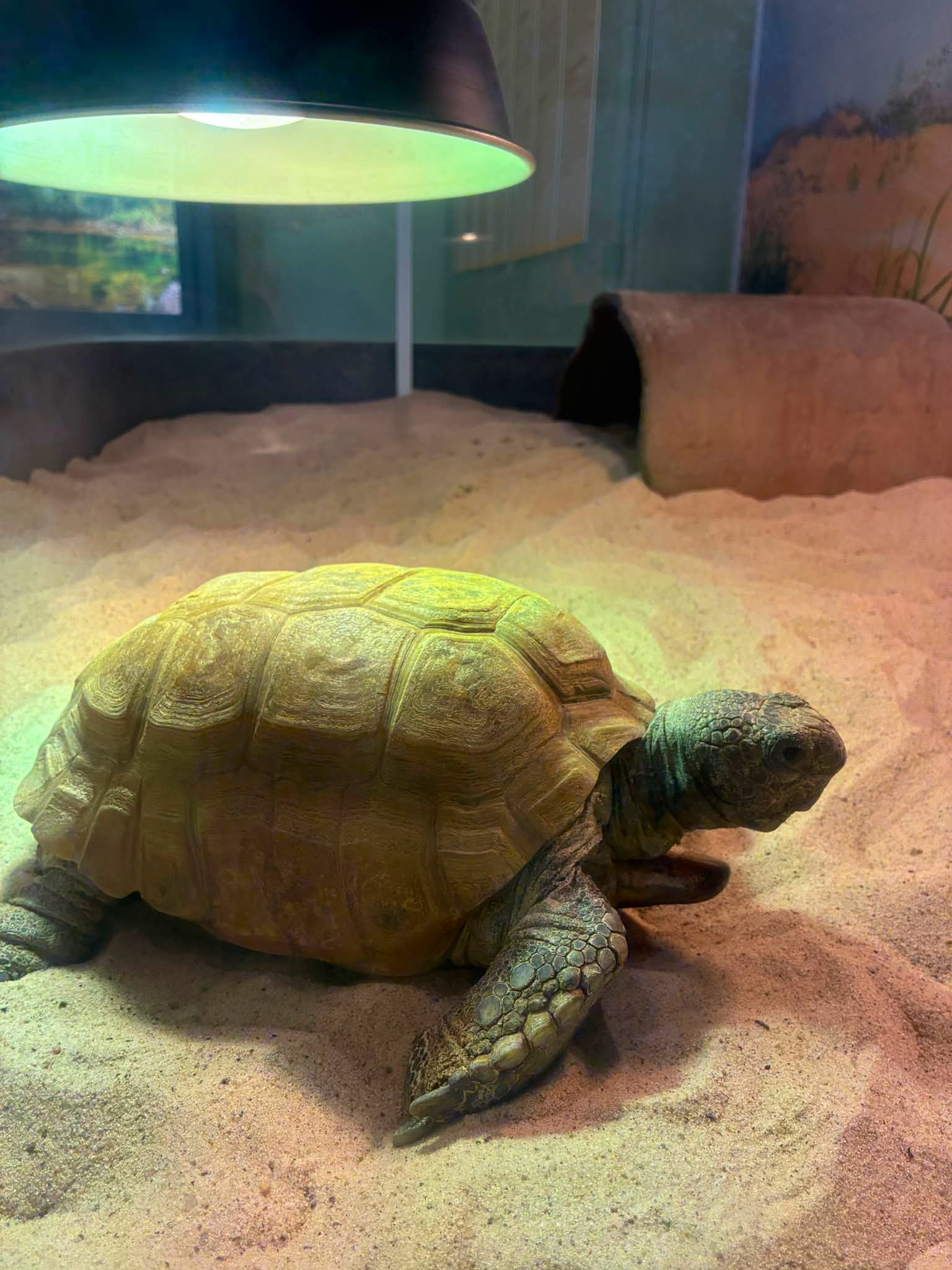 There’s lots happening in AuGUSt at your Museum of Natural History!