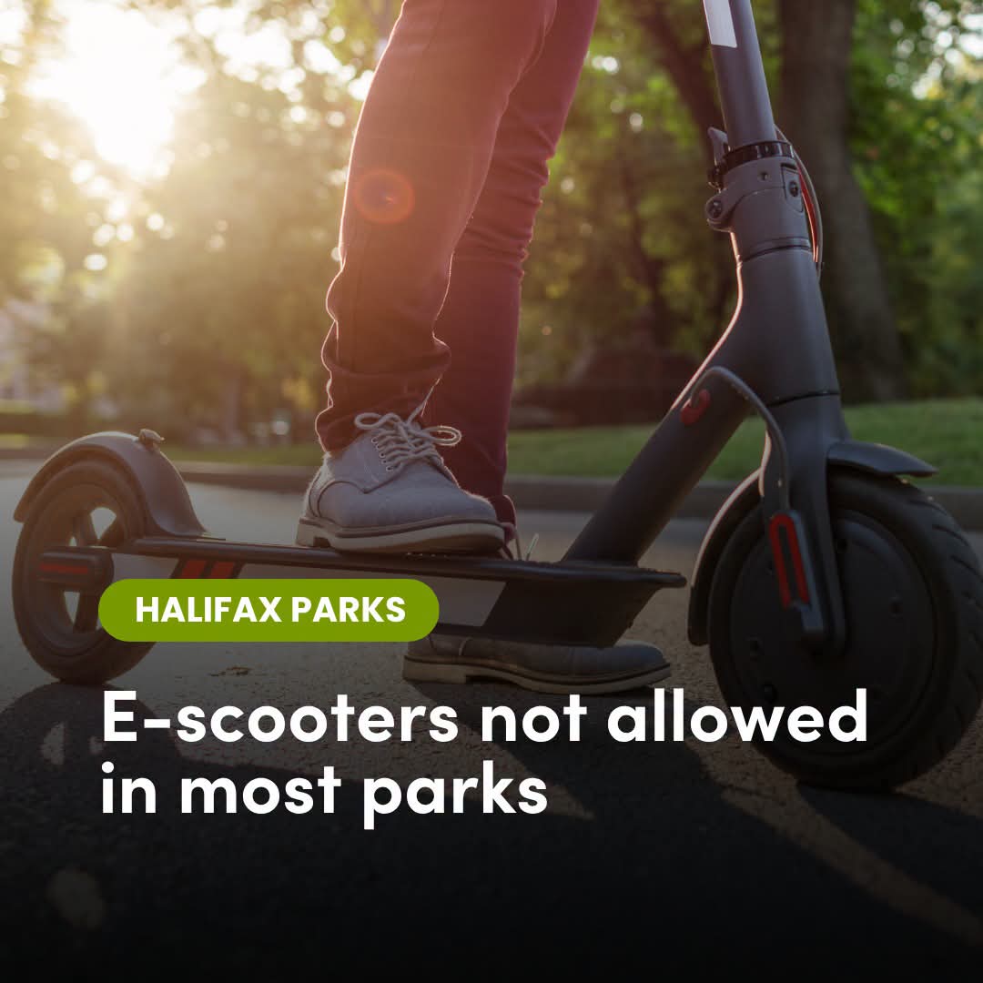 Thinking of riding your e-scooter in a park? Not so fast.
