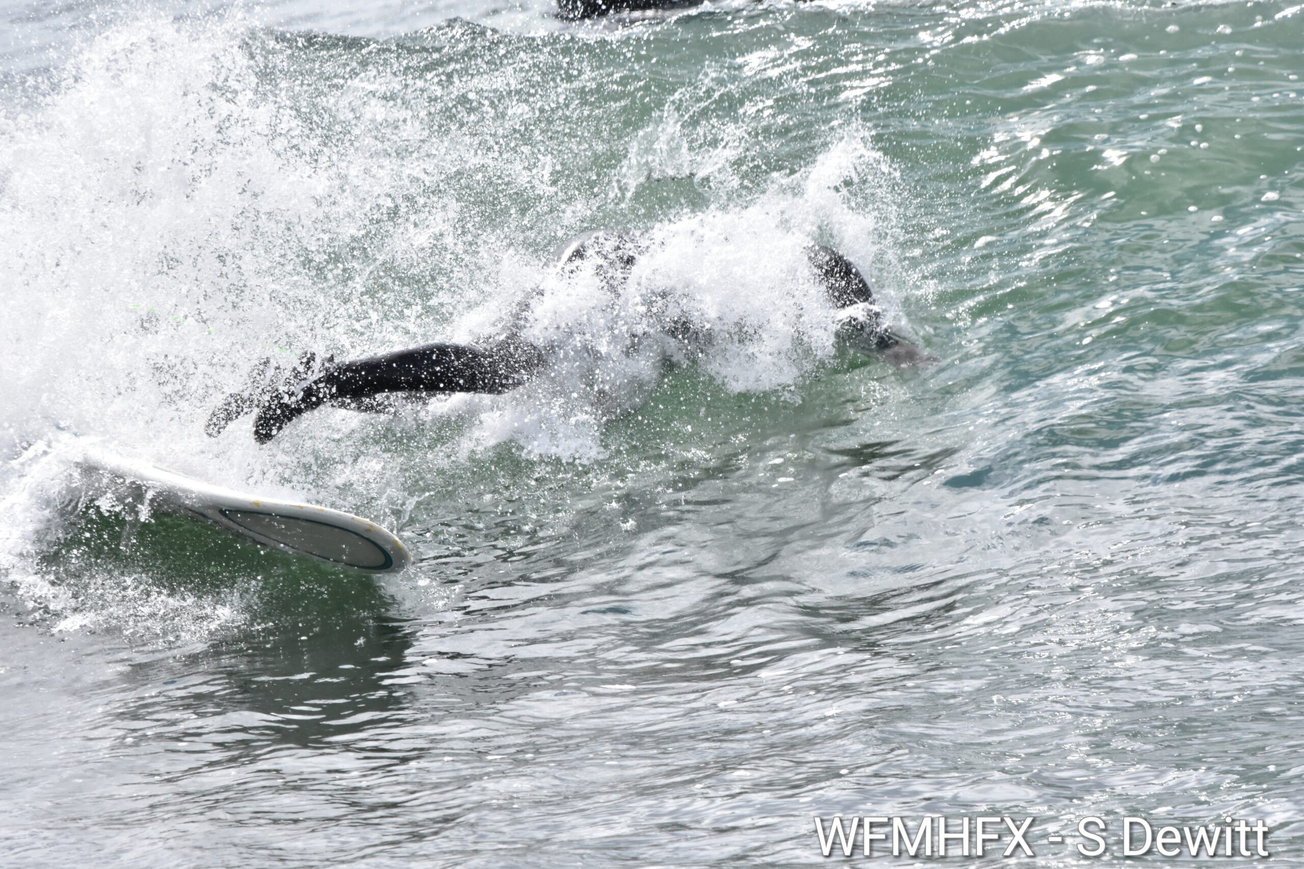 In photos - A few surfers take advantage of a comfortable day in HRM by hitting the waves at Cow Bay on this Natal Day weekend