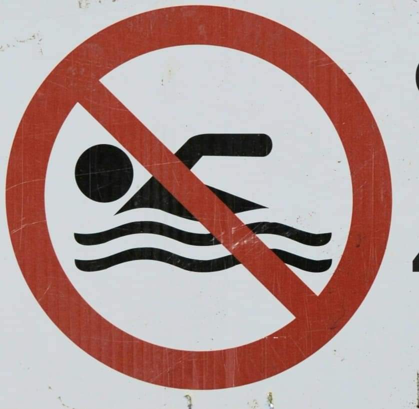 Sandy Lake Beach closed to swimming due to possible blue-green algae bloom