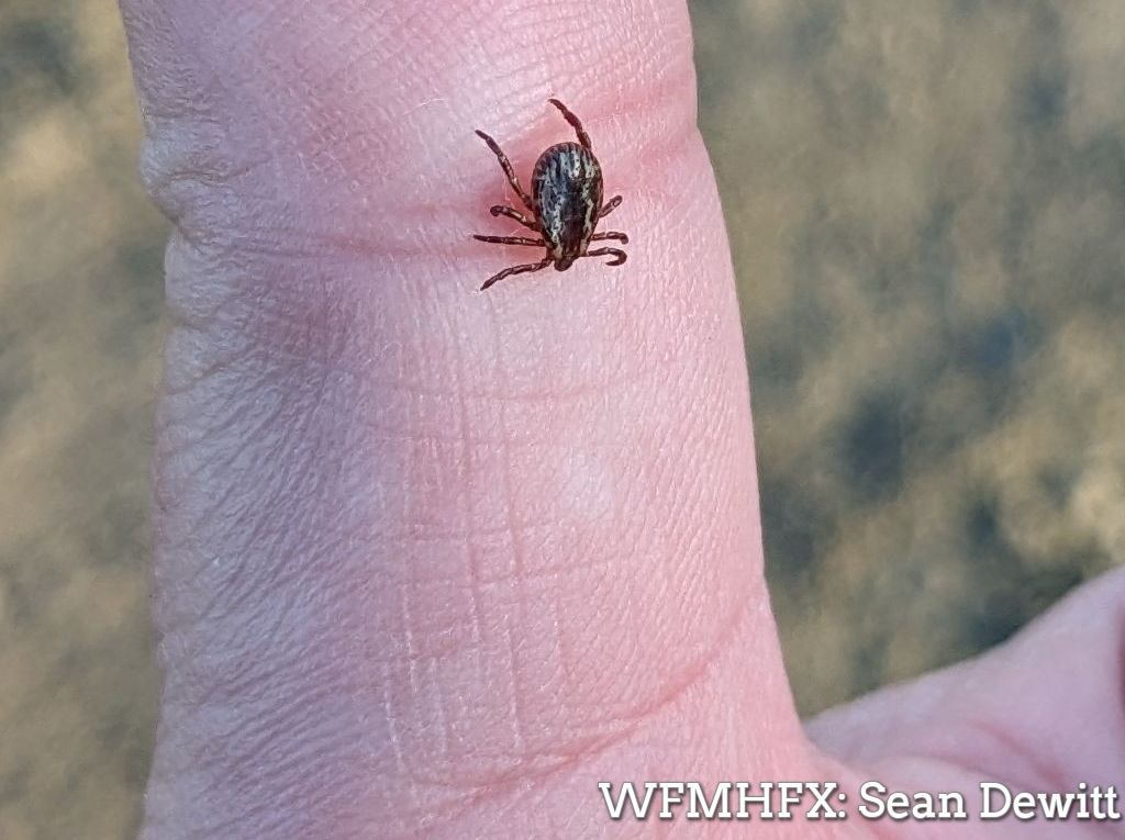 Province Supports Research to Strengthen Response to Tick-Borne Diseases