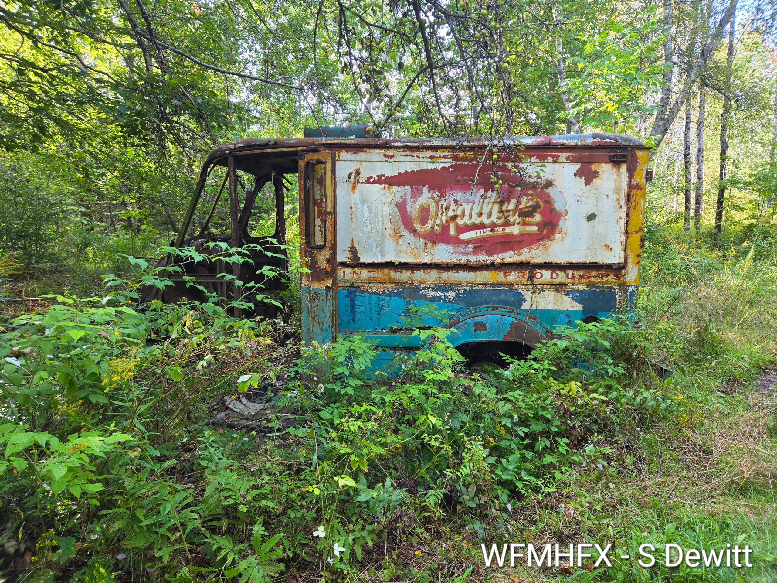 In photos - Rust in peace! You never know what you'll find just off the beaten path