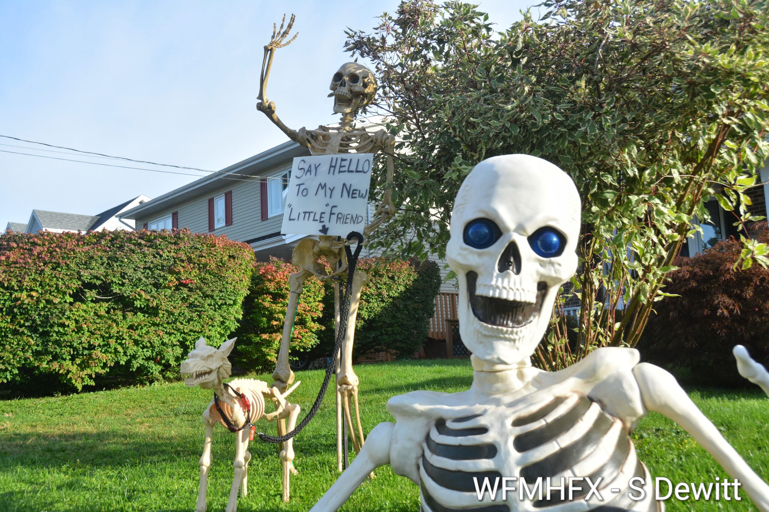 In photos - As fall fast approaches, so does the spooky season!