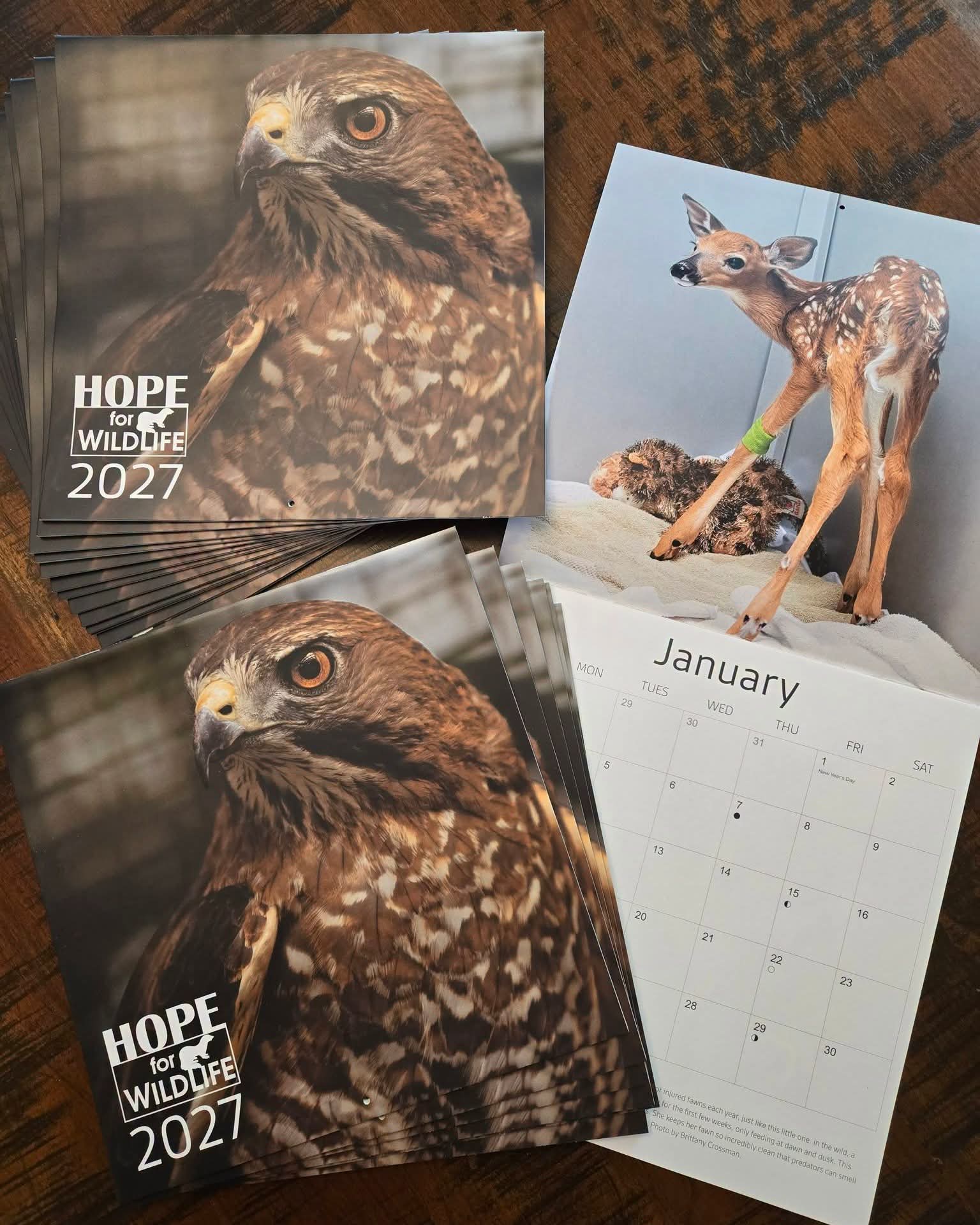 The official Hope for Wildlife calendar for 2027 is here!