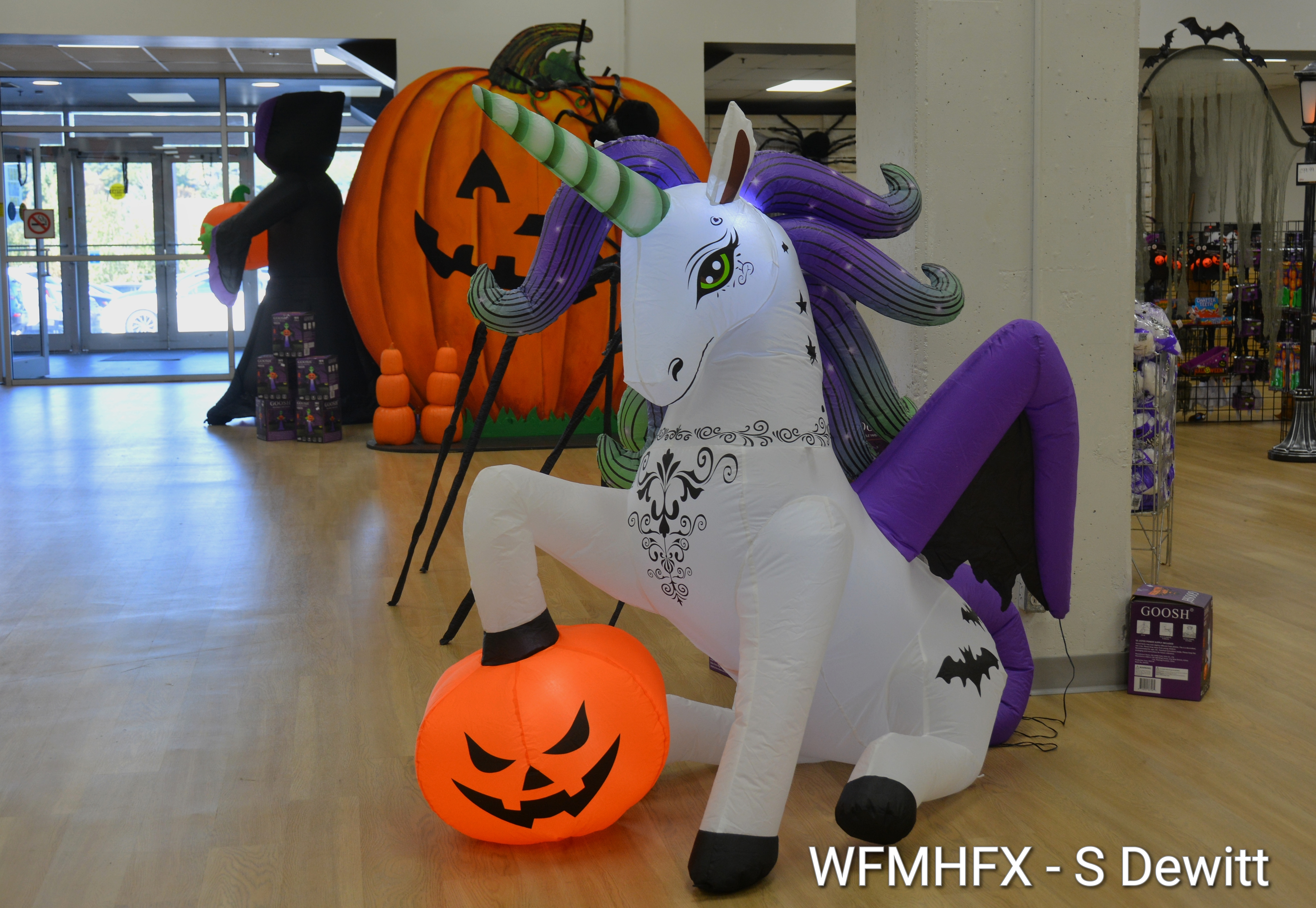 DSC_3152_wm