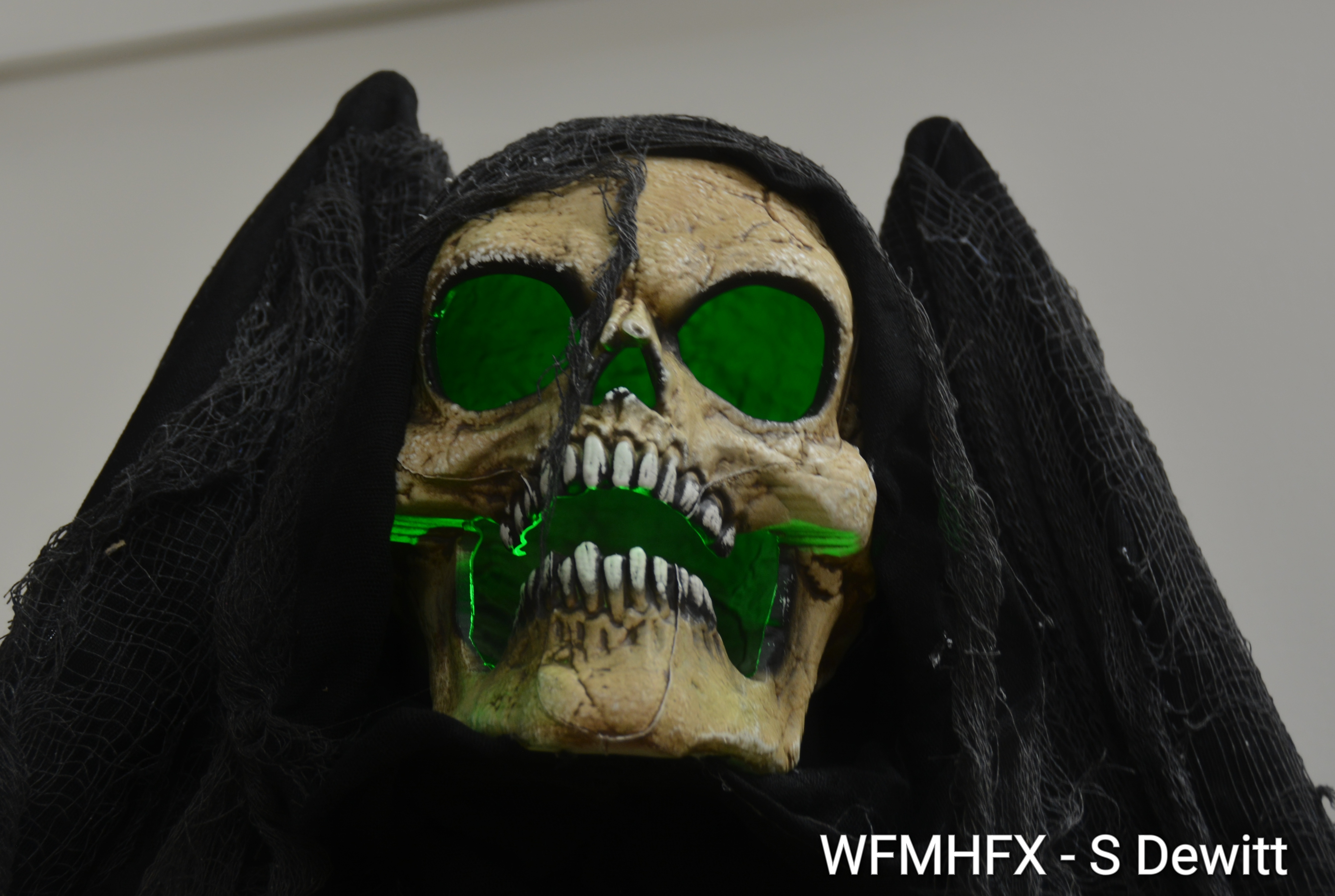 DSC_3138_wm