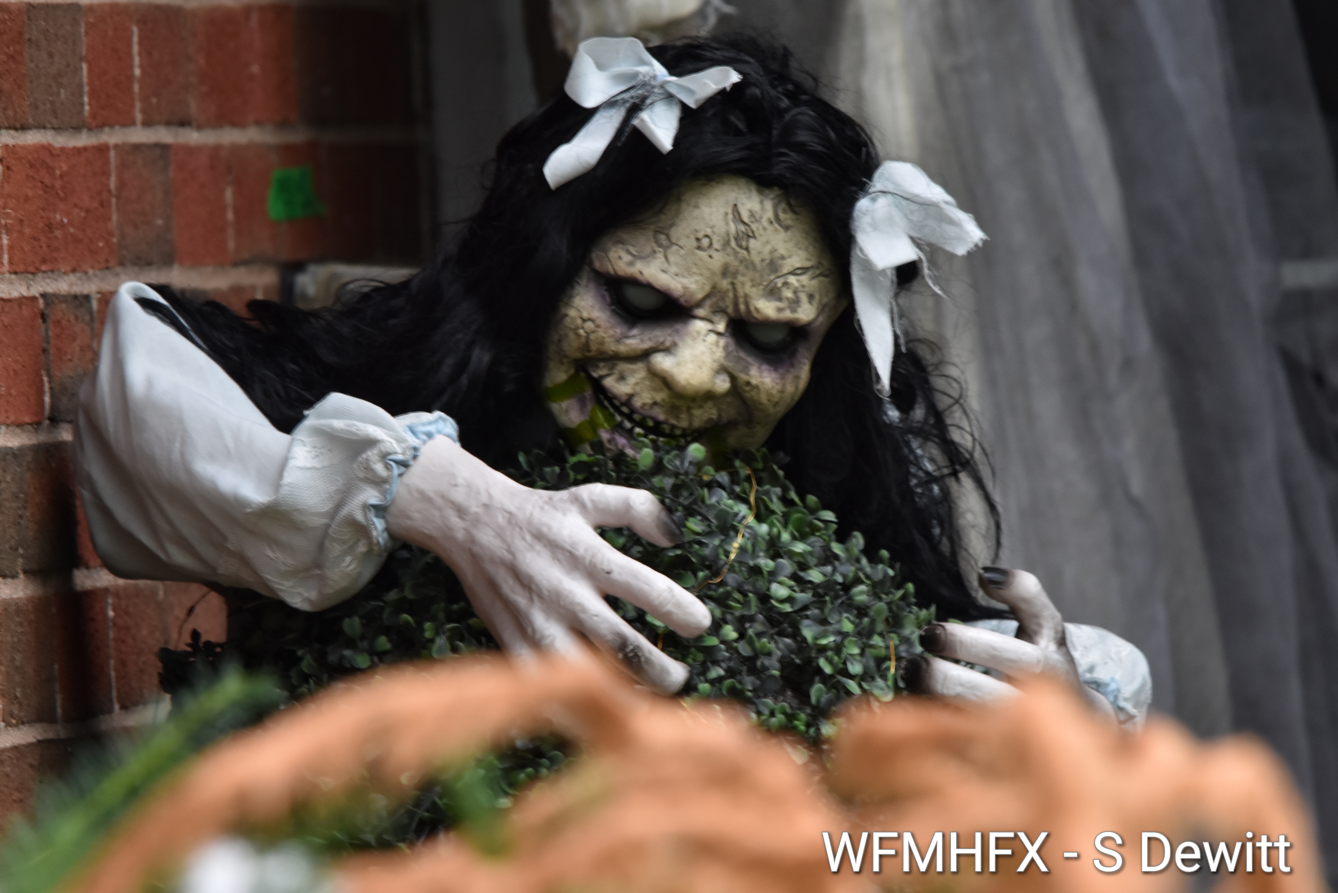 In photos - It's October 1st and the spirit of Halloween has stirred awake on Wheatstone Heights in Dartmouth!