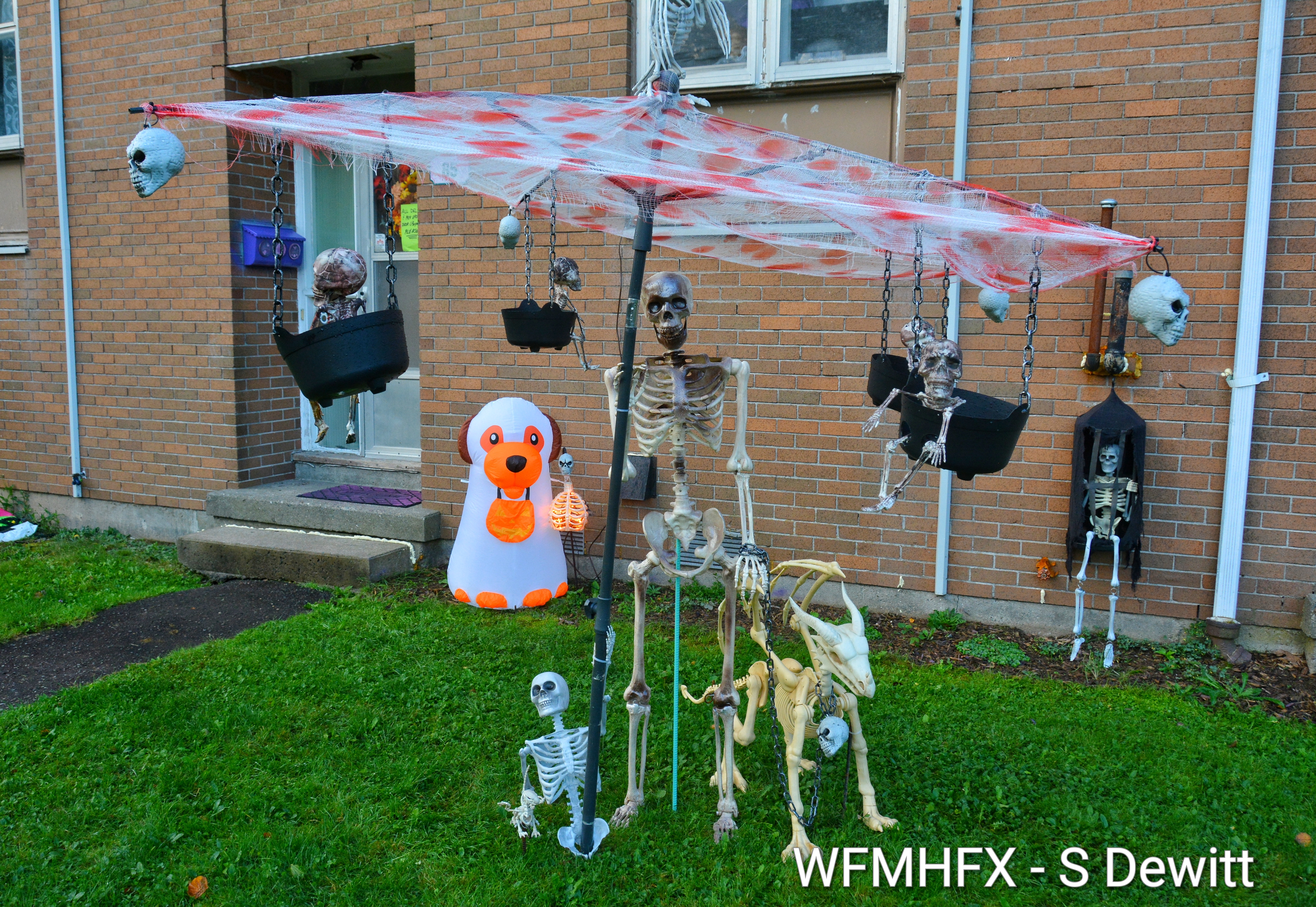 In photos - You will feel a deep chill in your bones if you find yourself hanging around Princess Margaret Blvd in Dartmouth for too long! 