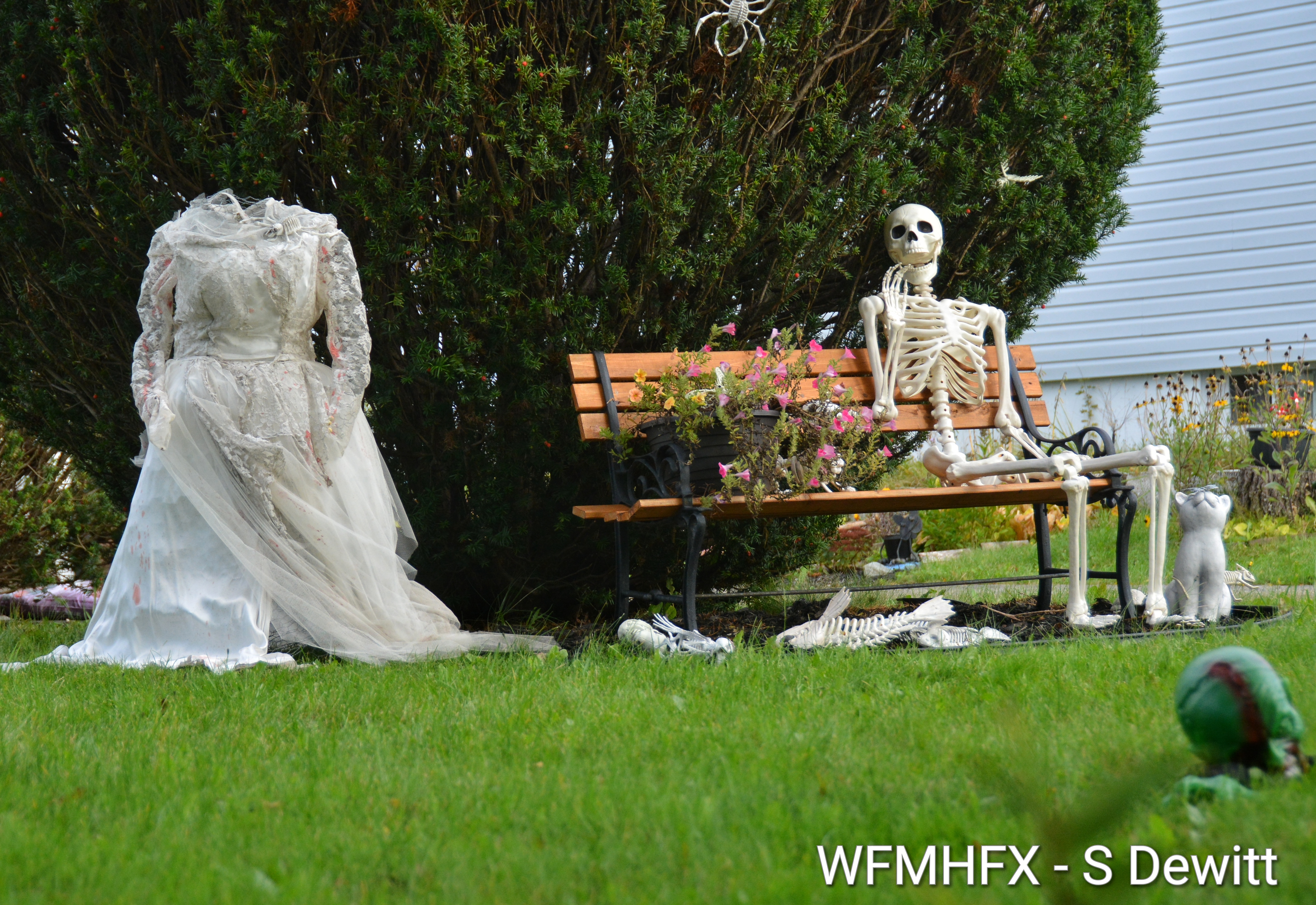 In photos - You'll find unbridled terror lurking on Virginia Ave in Dartmouth! 