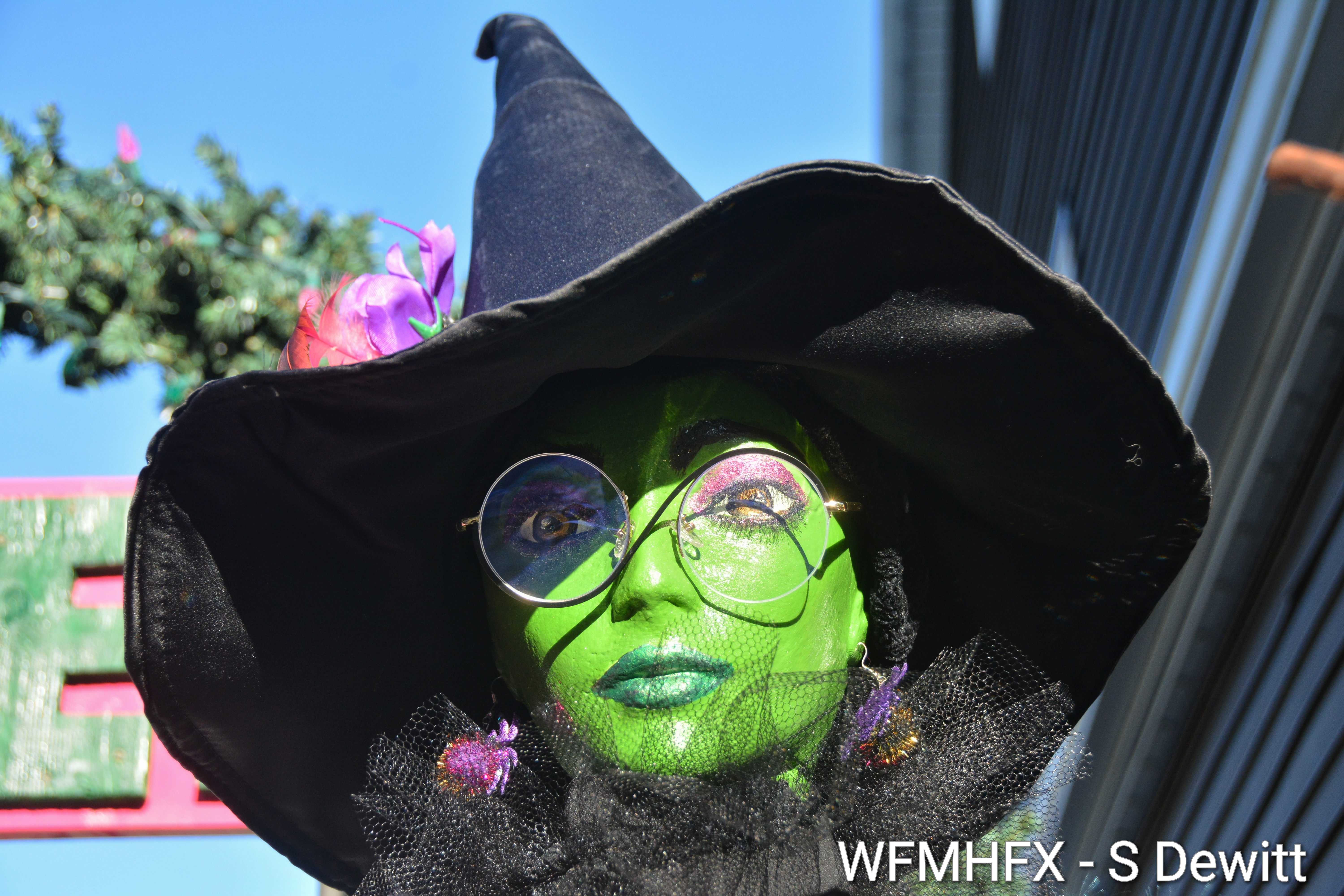 In photos - You'll find the root of all evil lurking on Garden Ave in Dartmouth, with wicked motives stemming out from beyond! 