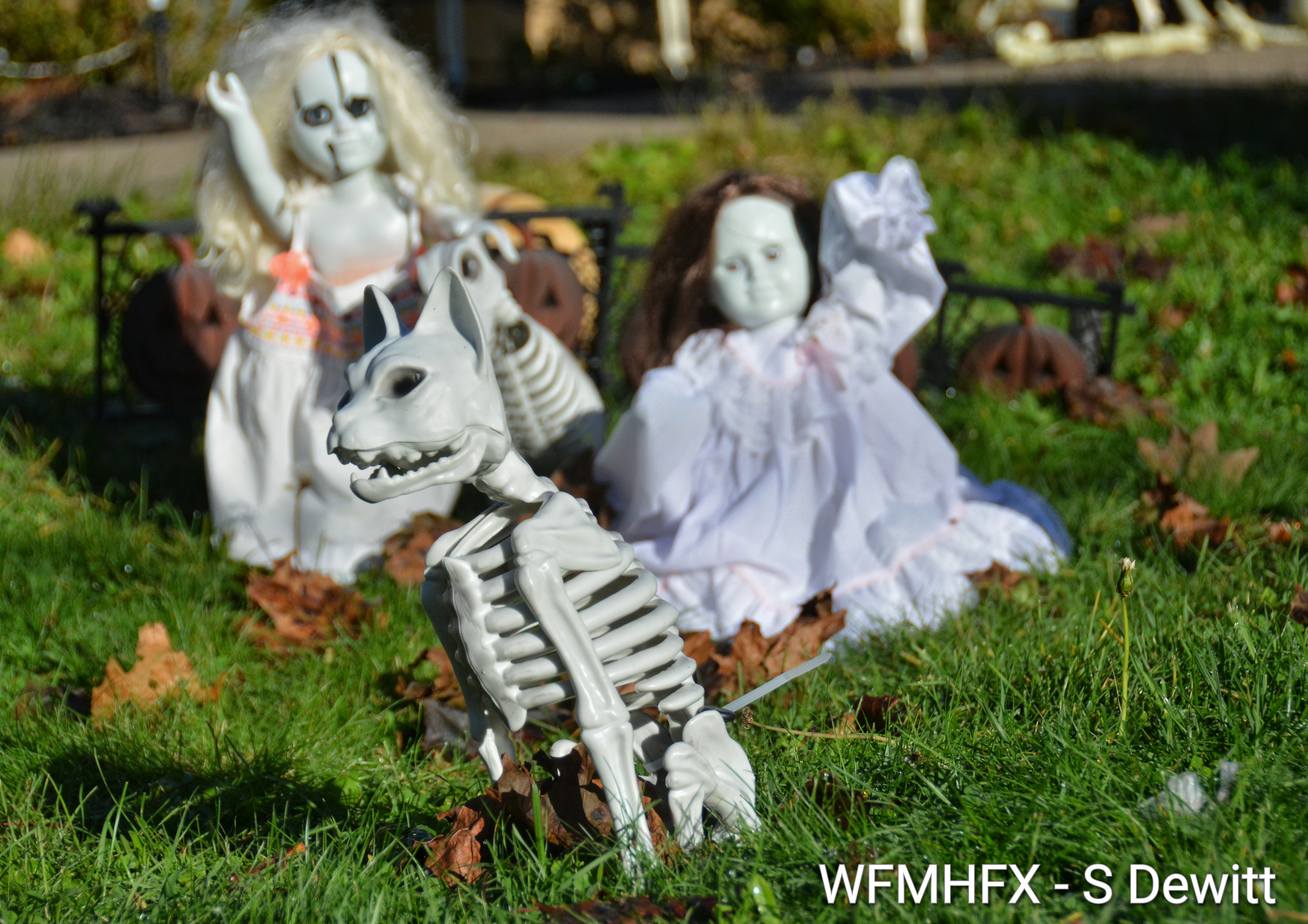 In photos - Monsters are real and if you accidentally hanf around Birchwood Terror in Dartmouth for too long, you'll find yourself playing with dangerous toys! 