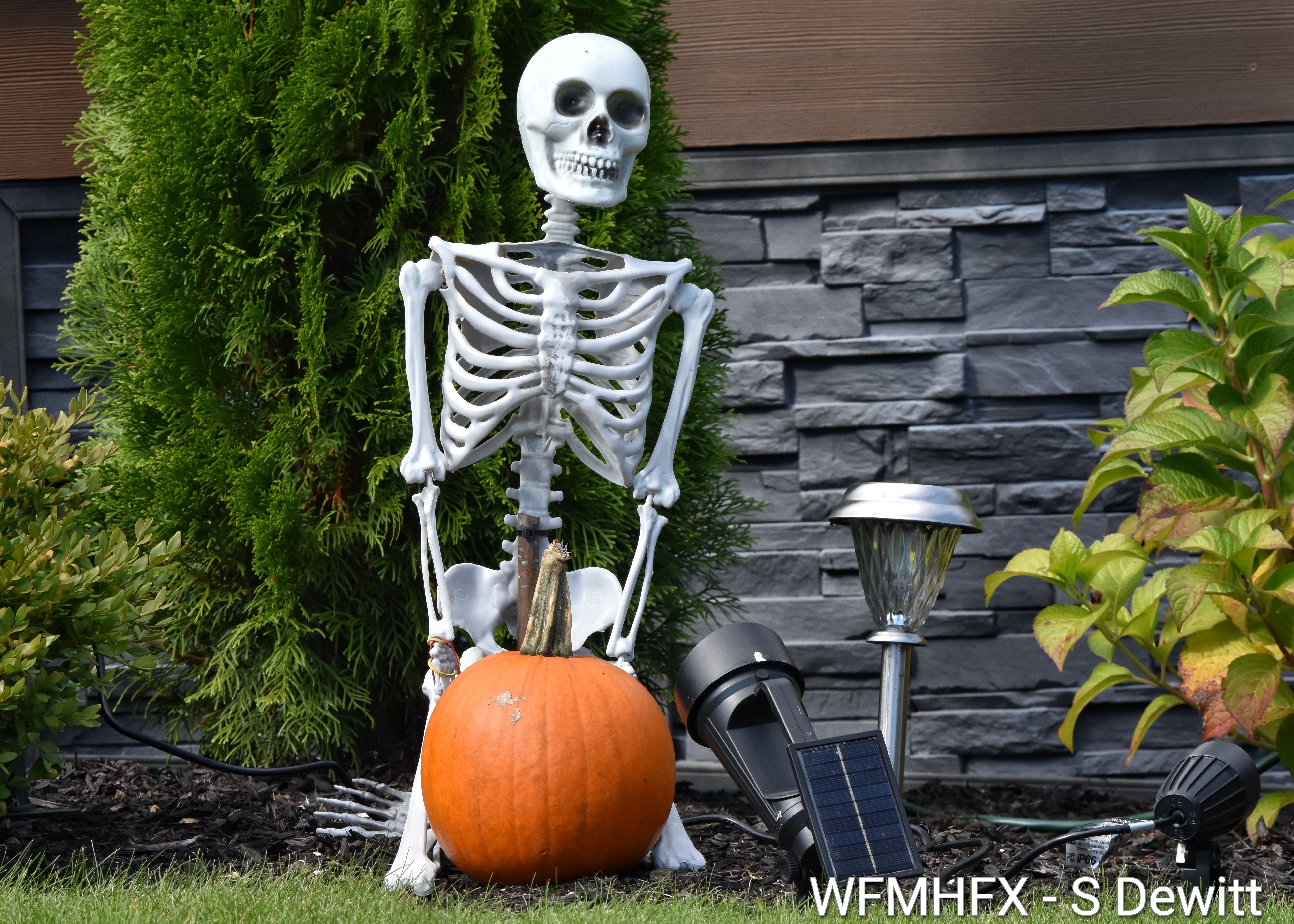 In photos - You'll feel a chill in your bones as you approach Princeton Ln in Dartmouth! 