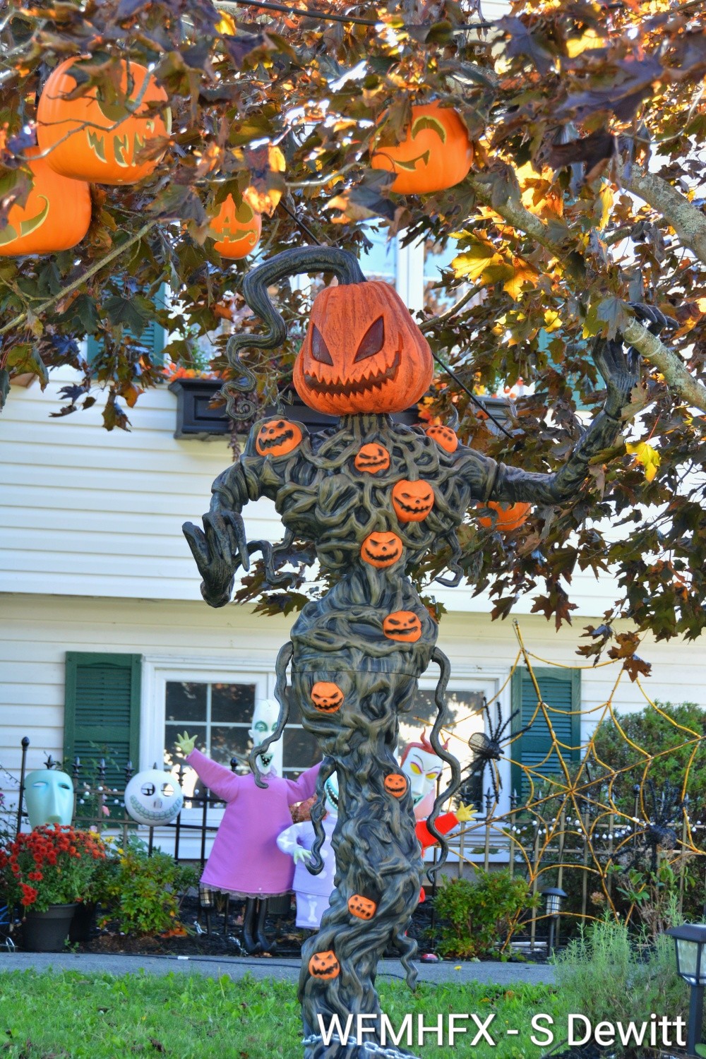 In photos - Try to keep your wits while crossing the paths of these ghourd awful fiends on Sherwood St in Dartmouth!