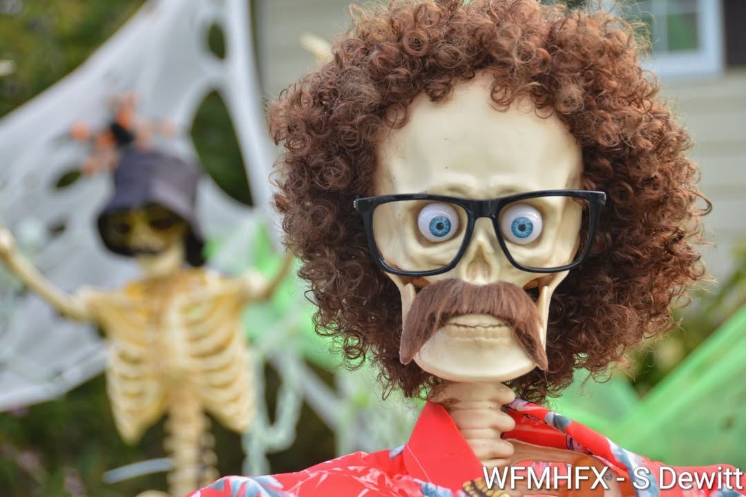 In photos - Things are getting weird on Paxton Dr in Cole Harbour, and if you dare to be stupid, you may find yourself operating like a surgeon!
