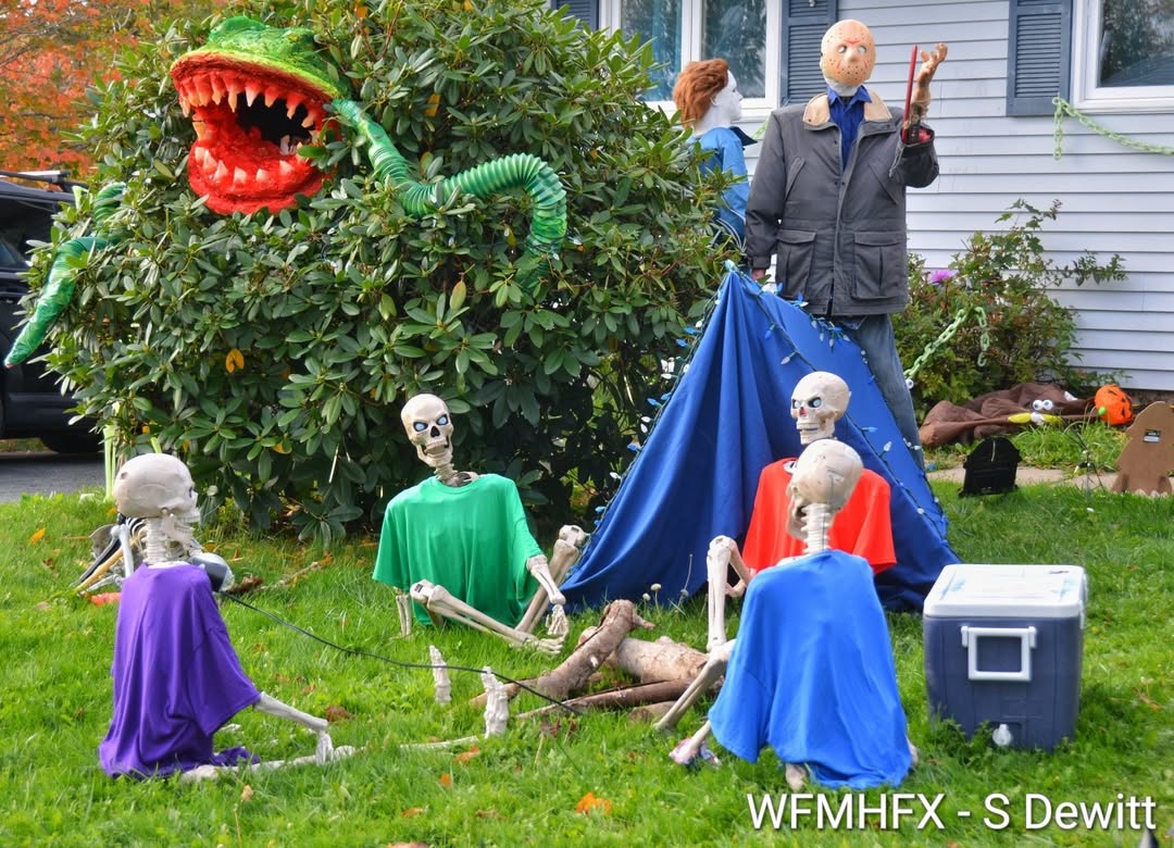 In photos - You'll end up bushed screaming in horror on Silistria Dr in Cole Harbour!