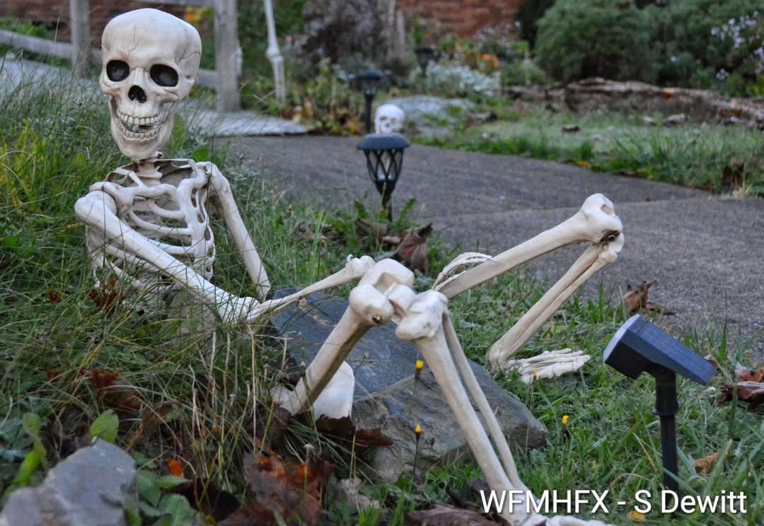 In photos - You'll find yourself the center of attention as you slip past this boneyard on Saratoga Dr in Dartmouth!