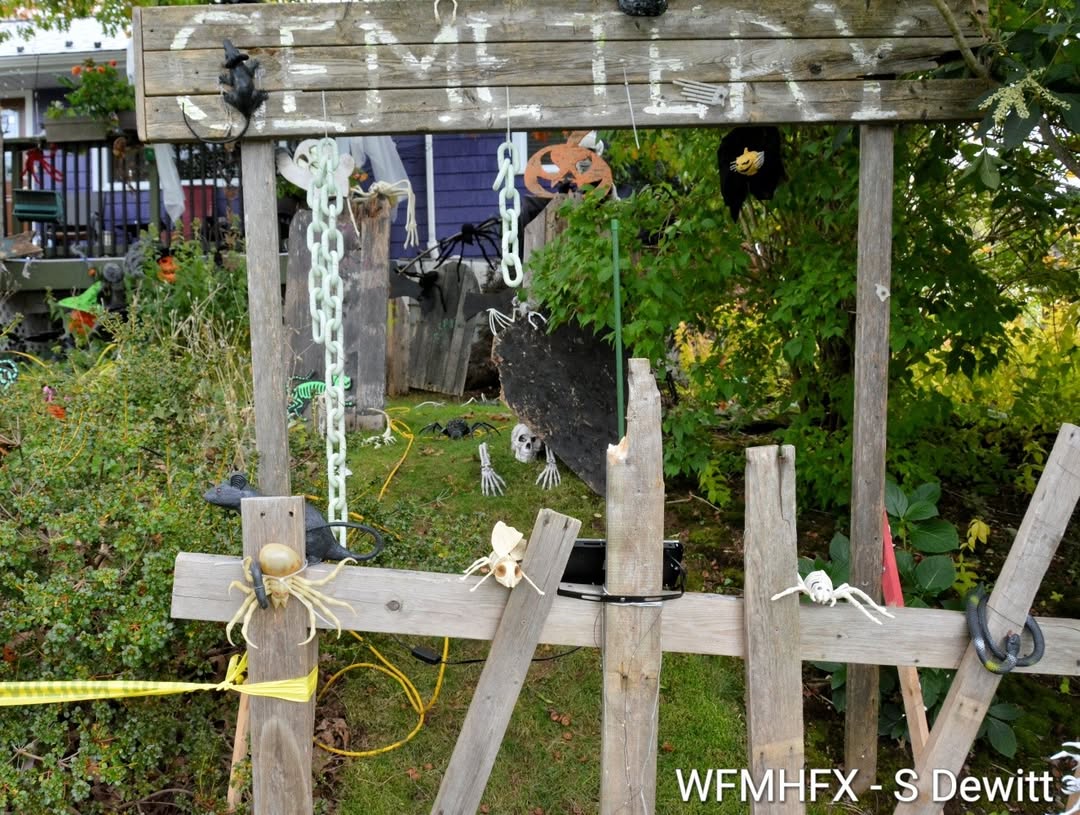 In photos - Try to keep it together as the sheer terror of the Clement St cemetery comes to unlife, webbing you into its dark world!