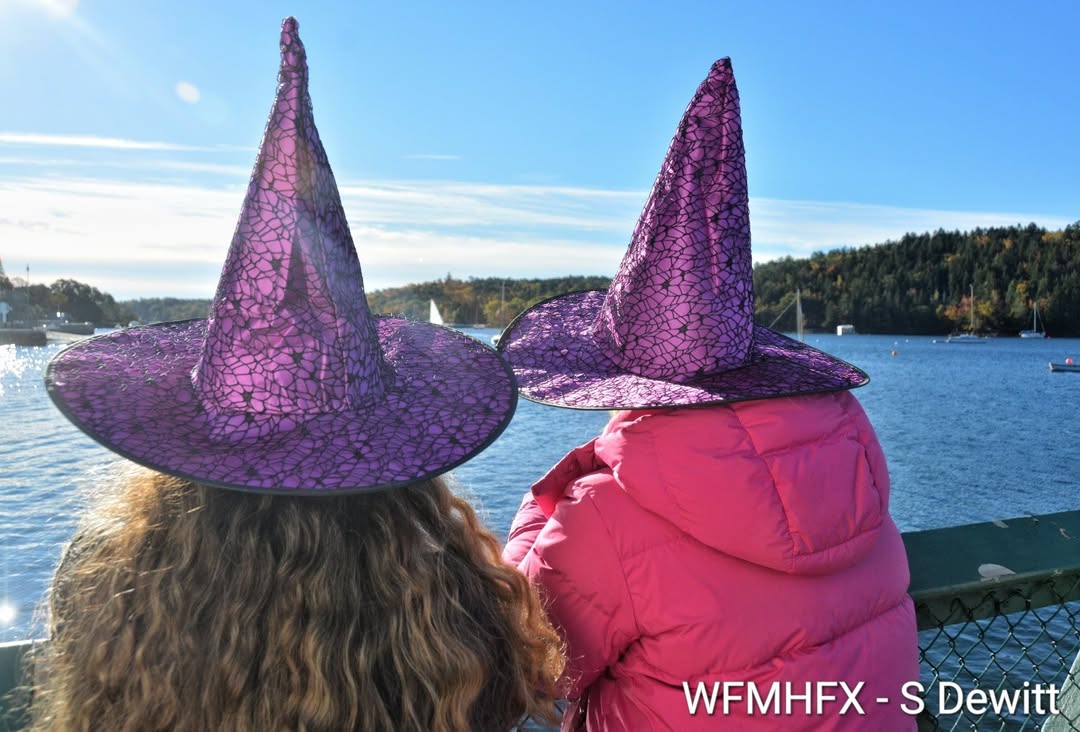 In photos - Witches gathered in wet masses, paddling instead of black magic! Sorry