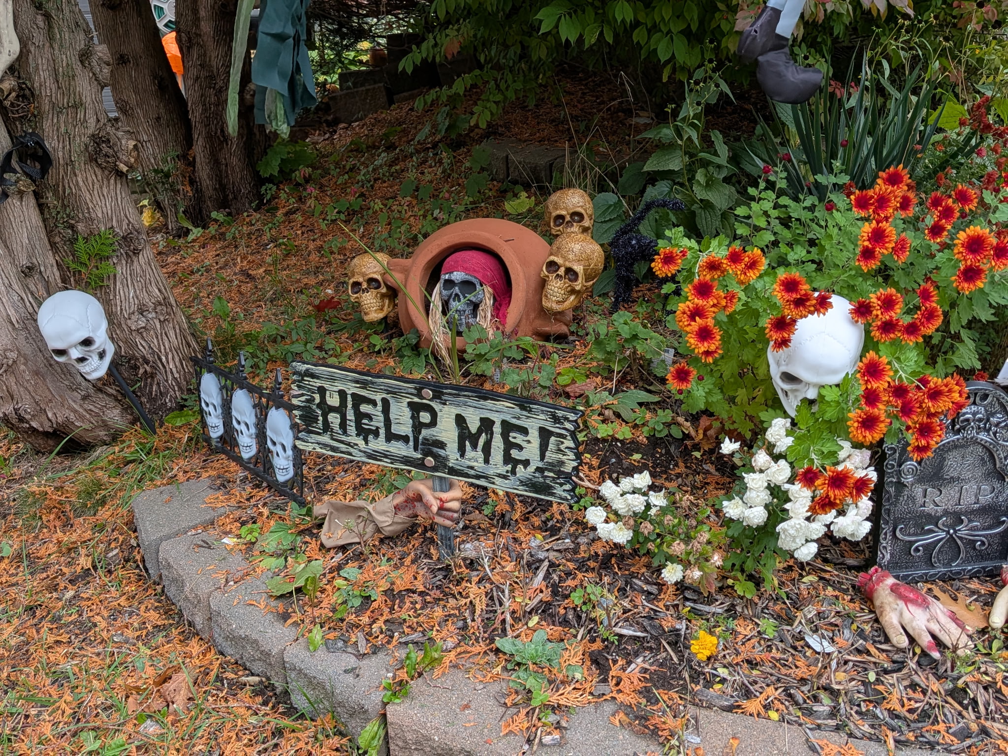 Halloween draws closer!