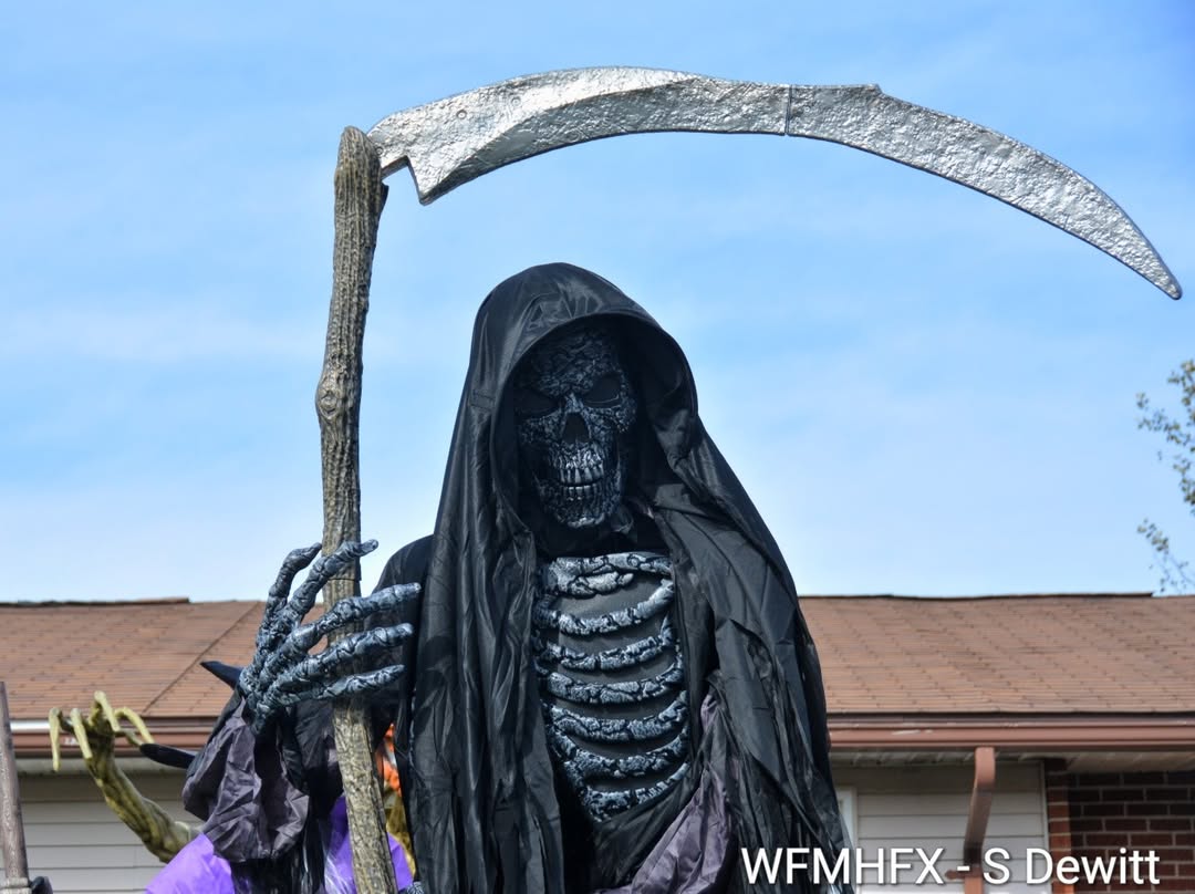 In photos - Don't hang around Renfrew St in Dartmouth for too long, you might get carried away!