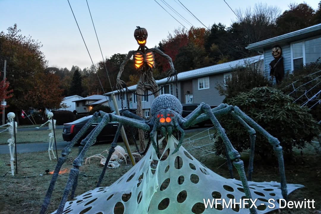 In photos - You'll get the sensations up and down your spine as you near this monstrous yard on Waverley Rd in Dartmouth!