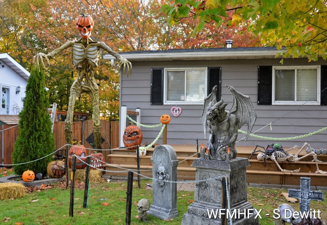 In photos - We ventured back to Havelock Cres in Cole Harbour, and what a grave mistake we made!