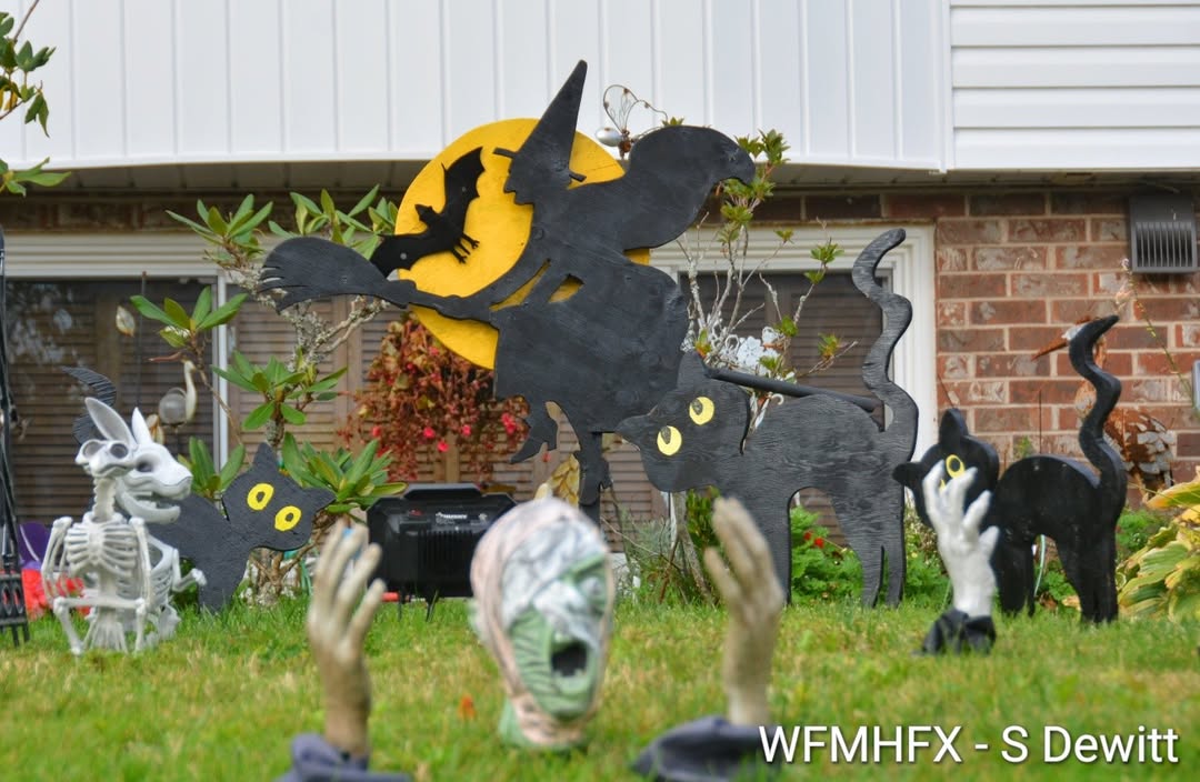 In photos - You'll get a witch feeling along Arklow Dr in Cole Harbour!